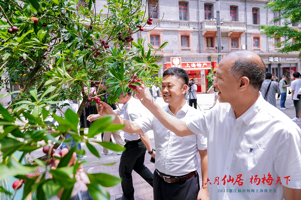 2_4308898.jpg 2_4308898.jpg